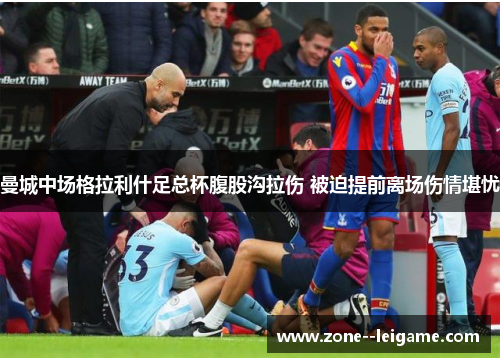 曼城中场格拉利什足总杯腹股沟拉伤 被迫提前离场伤情堪忧